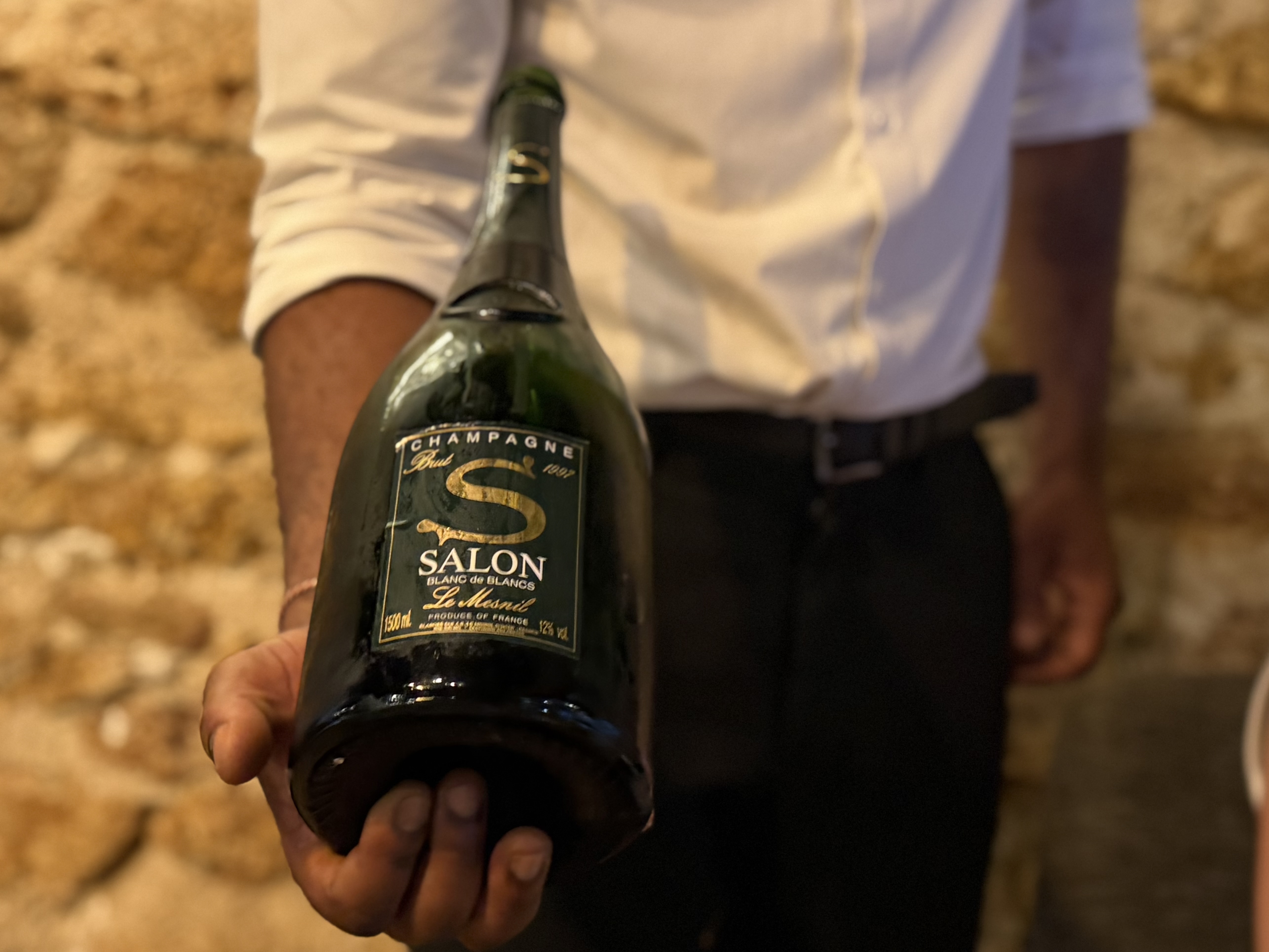 Salon 2015: returning to the source